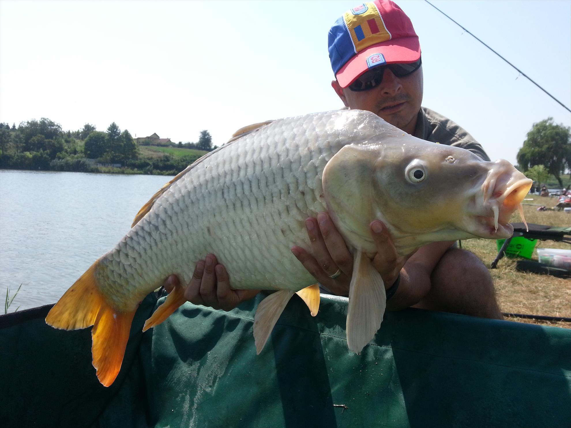 Moara Vlasiei 2 15 august 2014 - 20140815134533.jpg